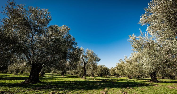 Ekonomiye ilişkin yeni torba teklif