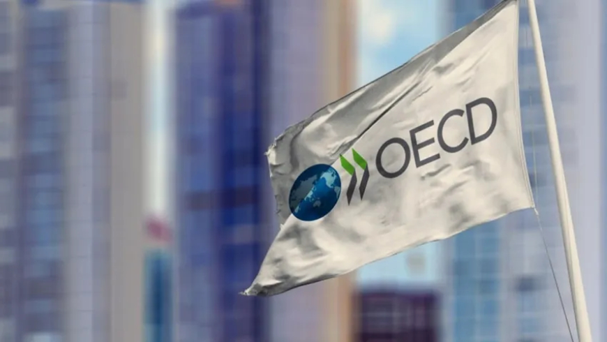 OECD, Türkiye için büyüme beklentisini düşürdü