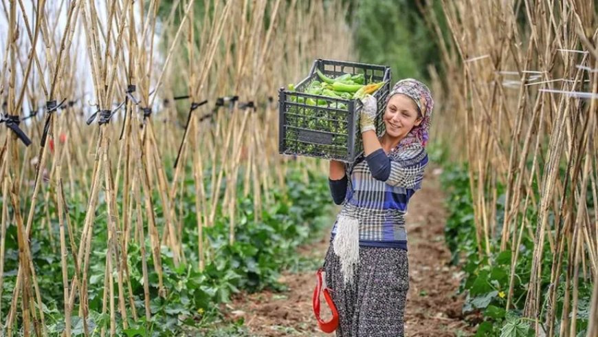 Bakan Yumaklı duyurdu: Çiftçiye yüzde 70 enerji desteği!